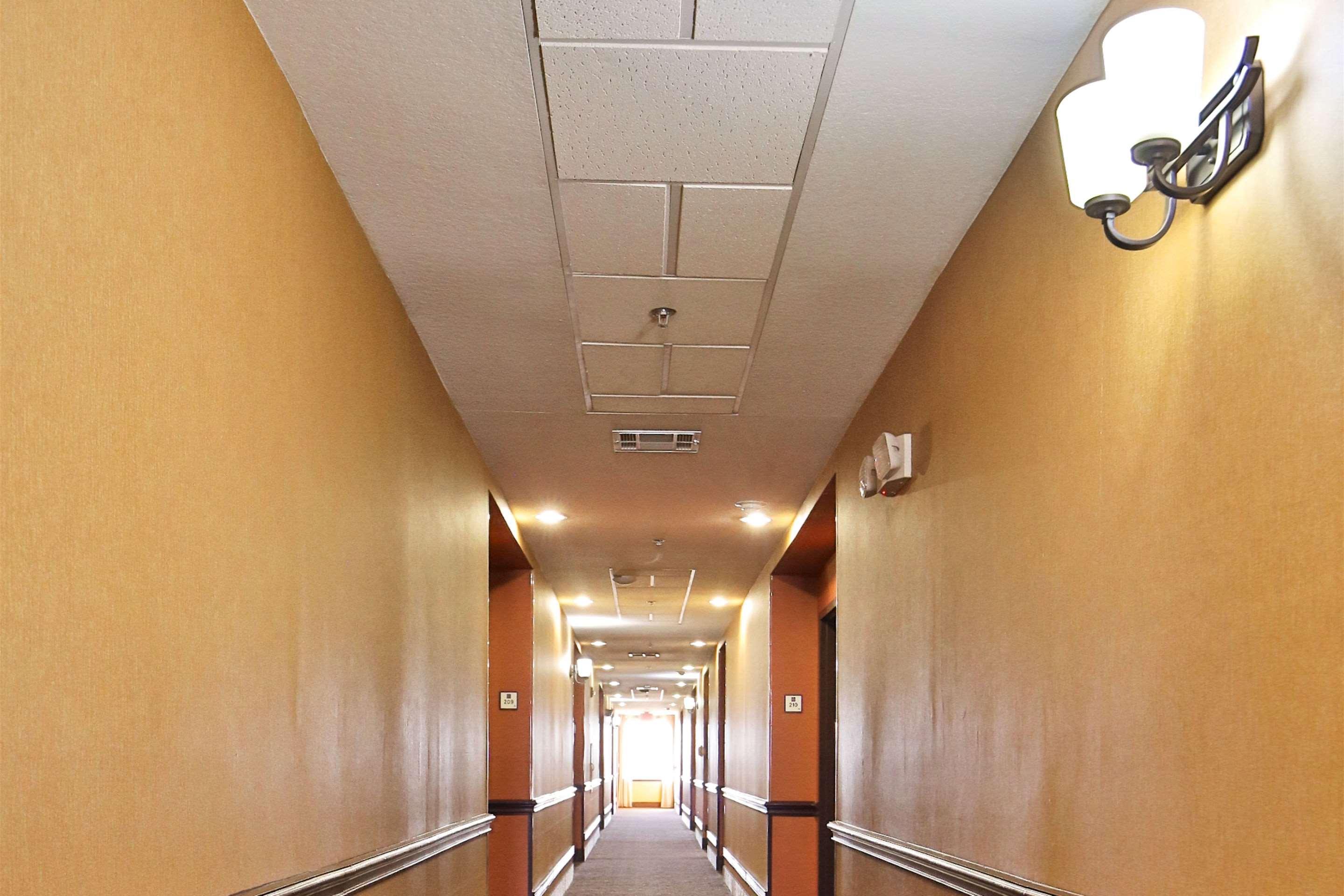 אבילן Sleep Inn & Suites University מראה חיצוני תמונה