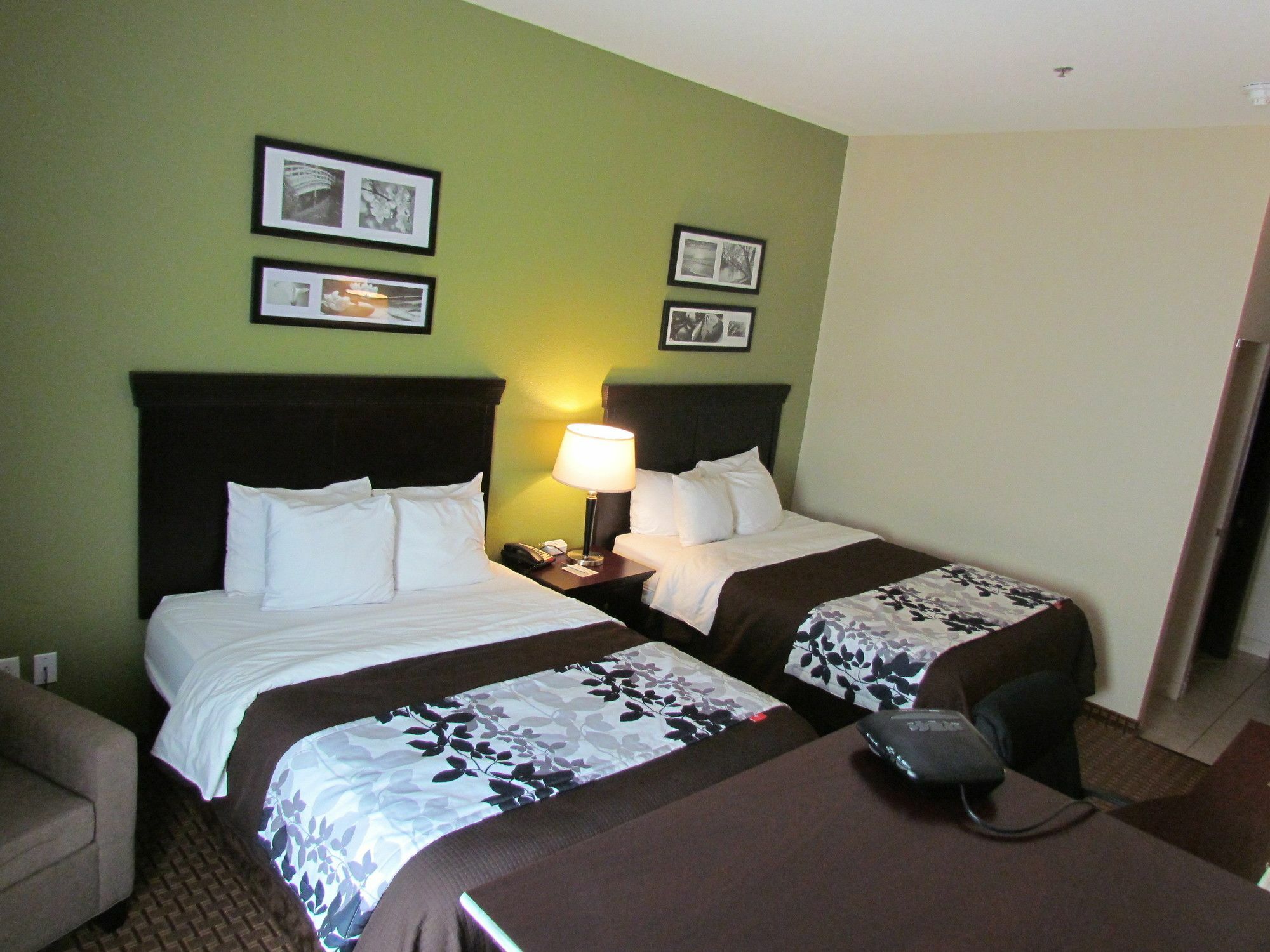 אבילן Sleep Inn & Suites University מראה חיצוני תמונה